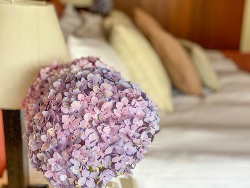 Tradewinds - Gallery 32